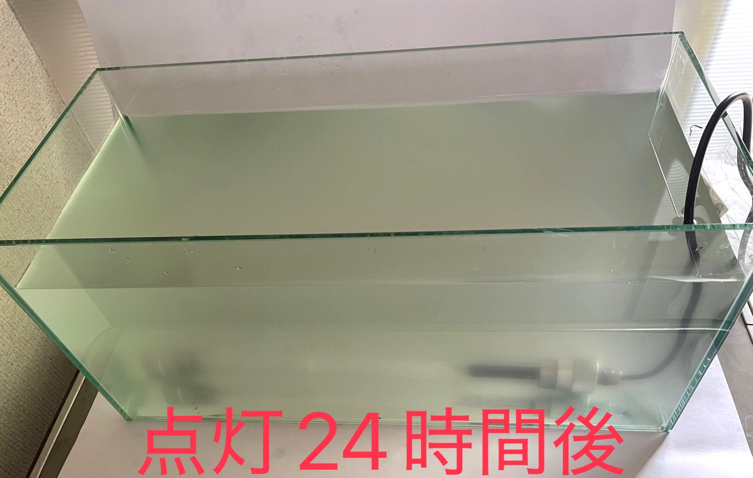 "殺菌灯を24時間点灯した後の透明になった水槽の様子"
