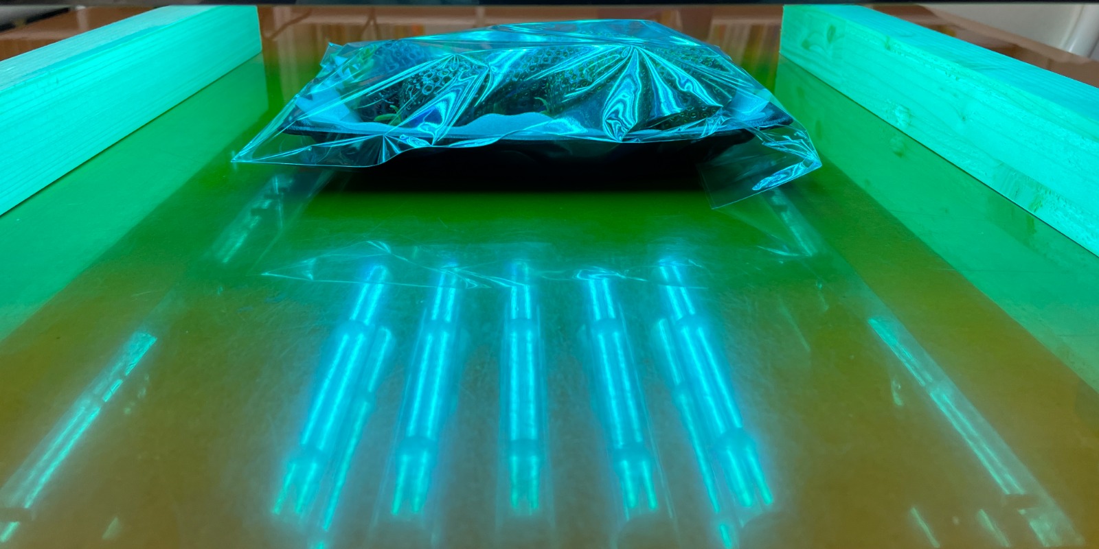 "イチゴへUVCを照射"