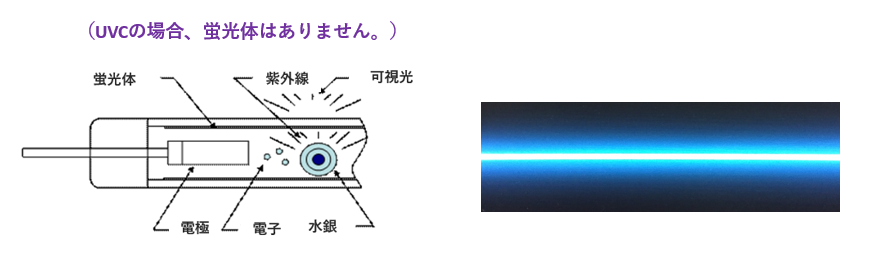 CCFL　仕組み