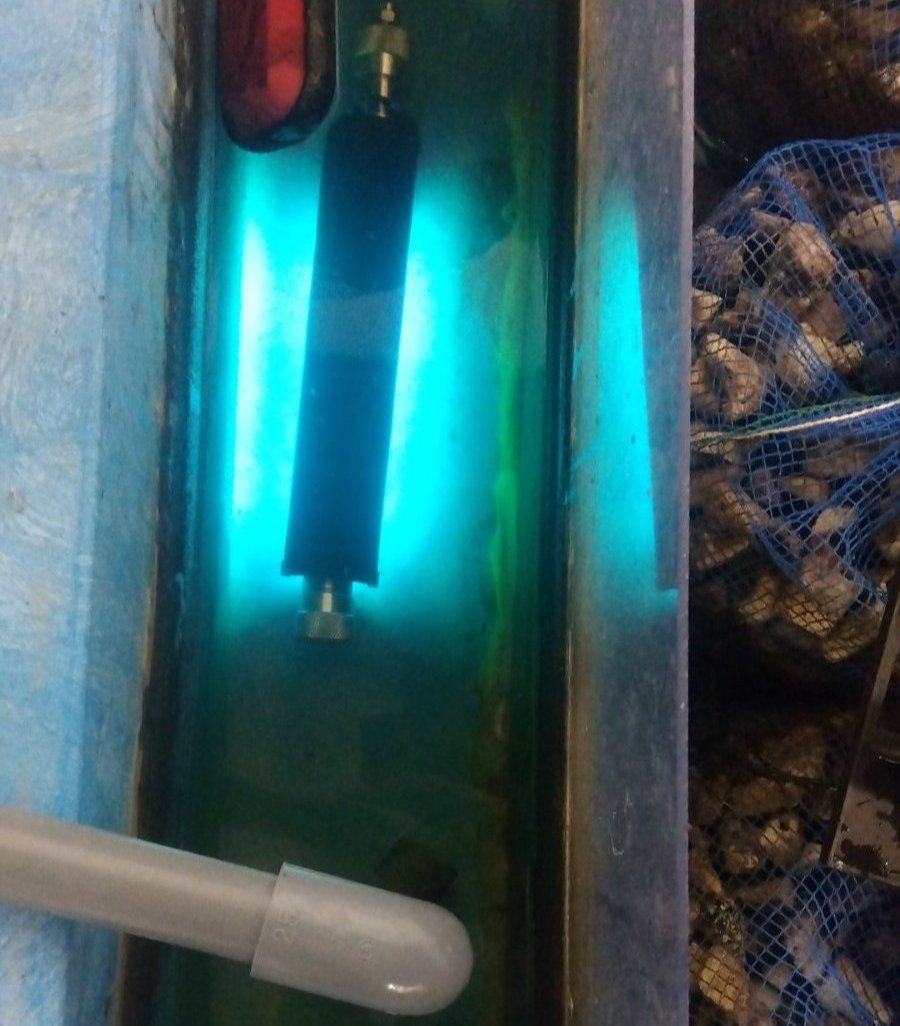”陸上養殖　濾過槽　殺菌灯”