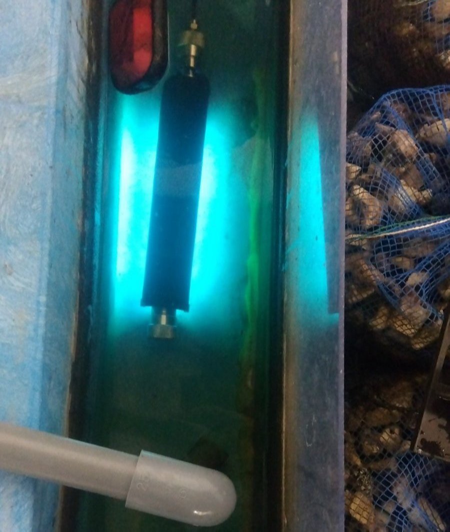 ”陸上養殖　殺菌灯”