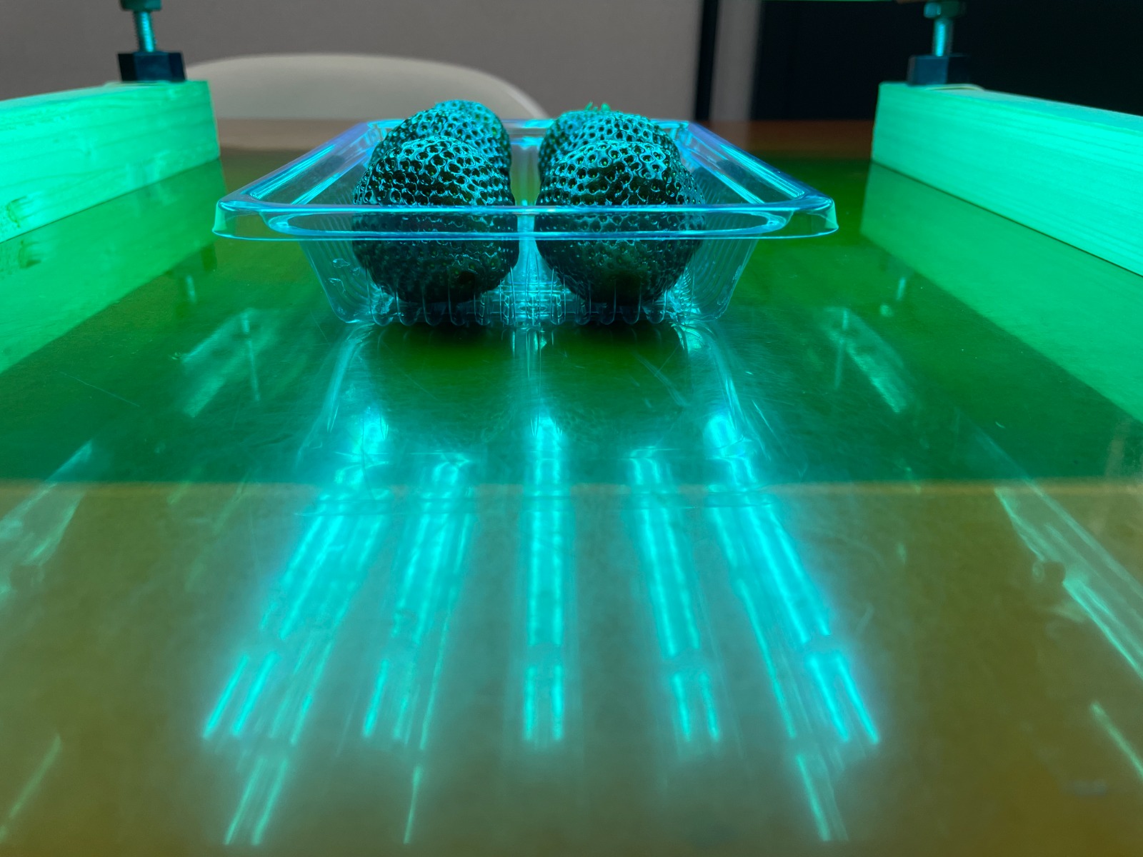 "イチゴに深紫外線を照射"