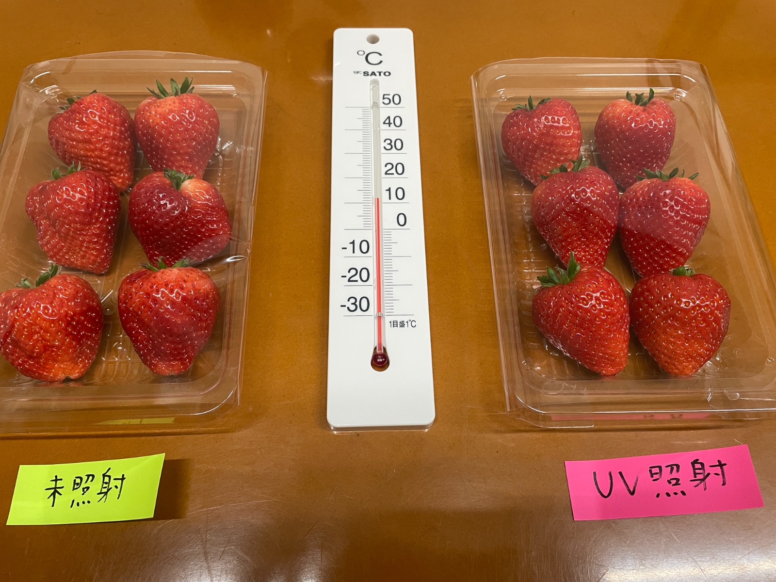 "深紫外線照射後のイチゴ"