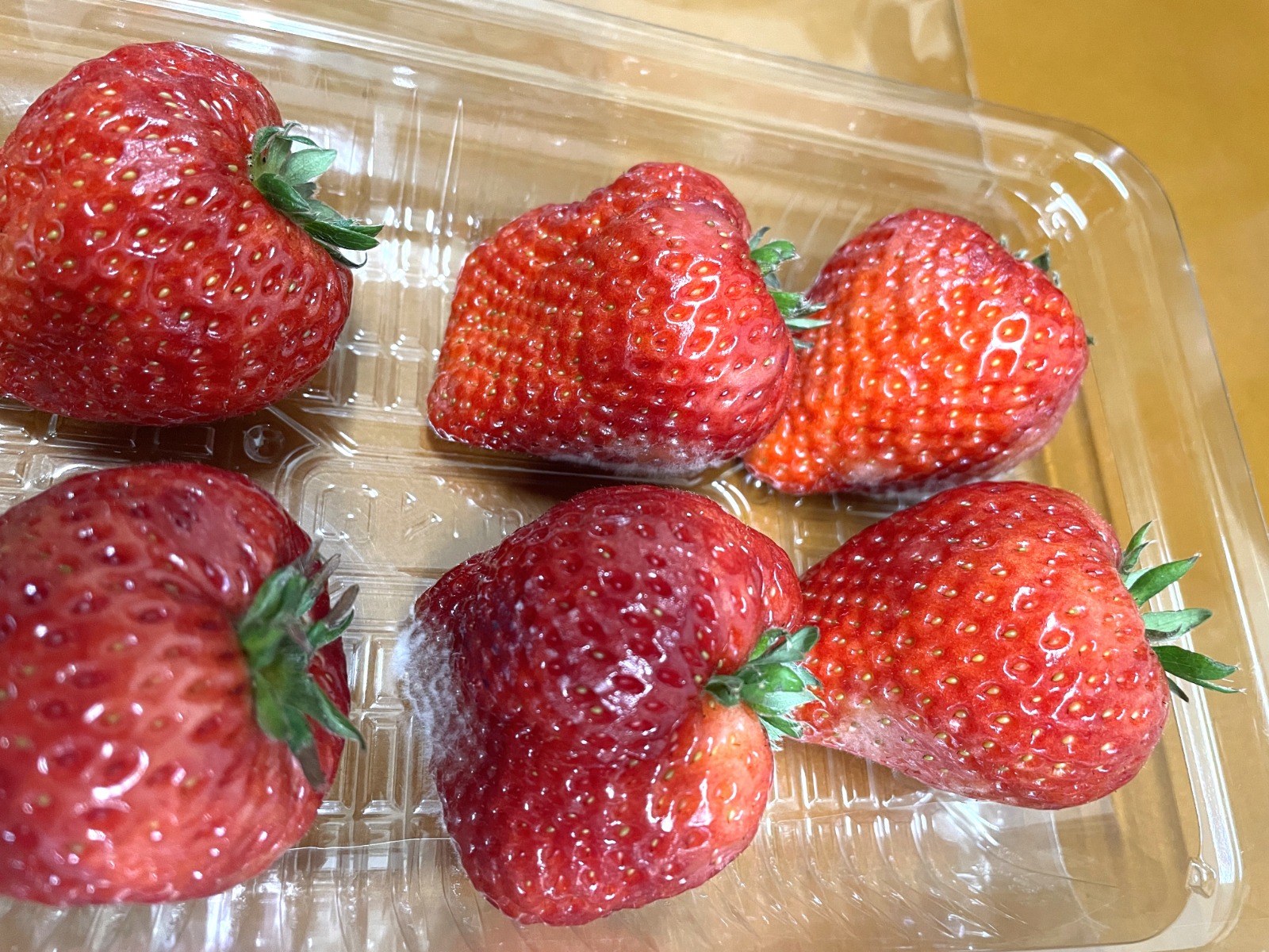 "イチゴ　カビ”