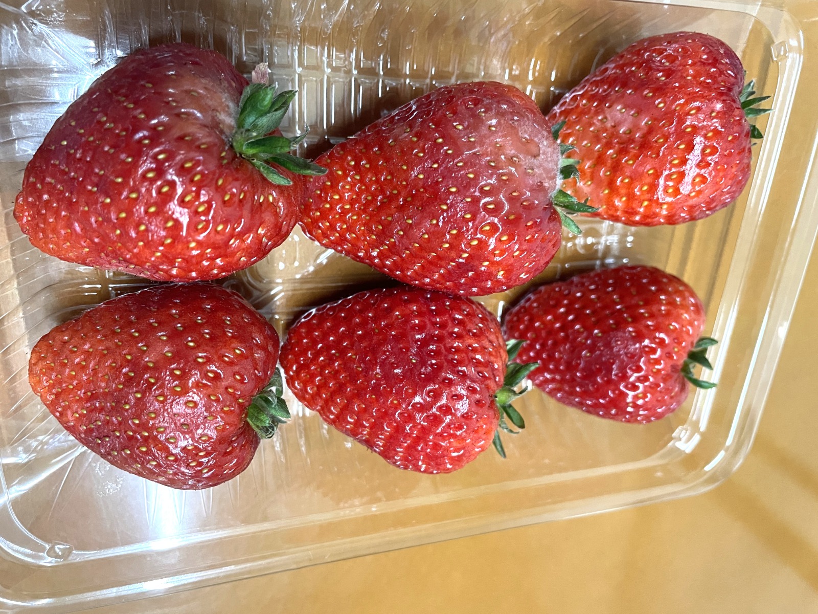 "イチゴ UVC照射"